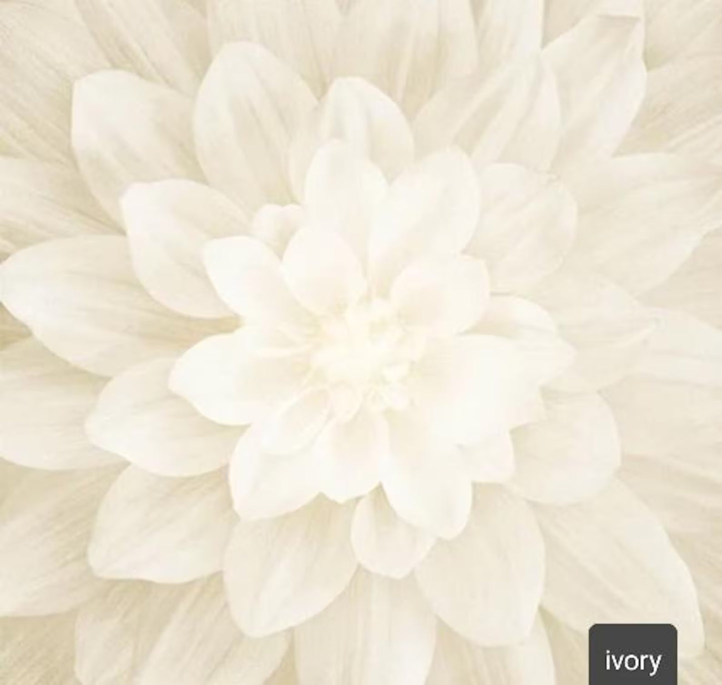 Beige Flower Panel IVORY – Dream Big by Hoffman