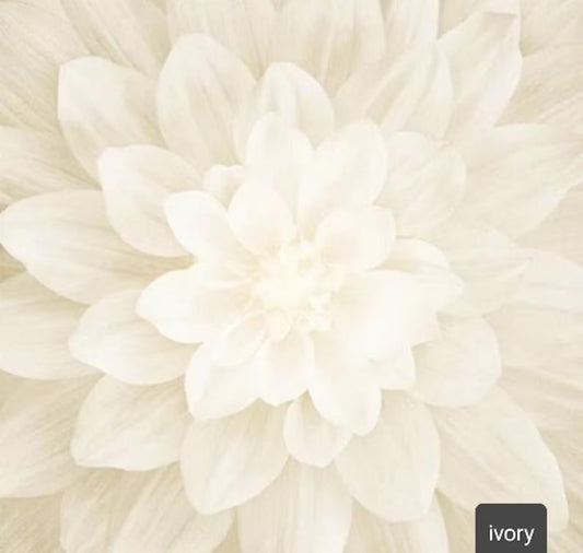 Beige Flower Panel IVORY – Dream Big by Hoffman
